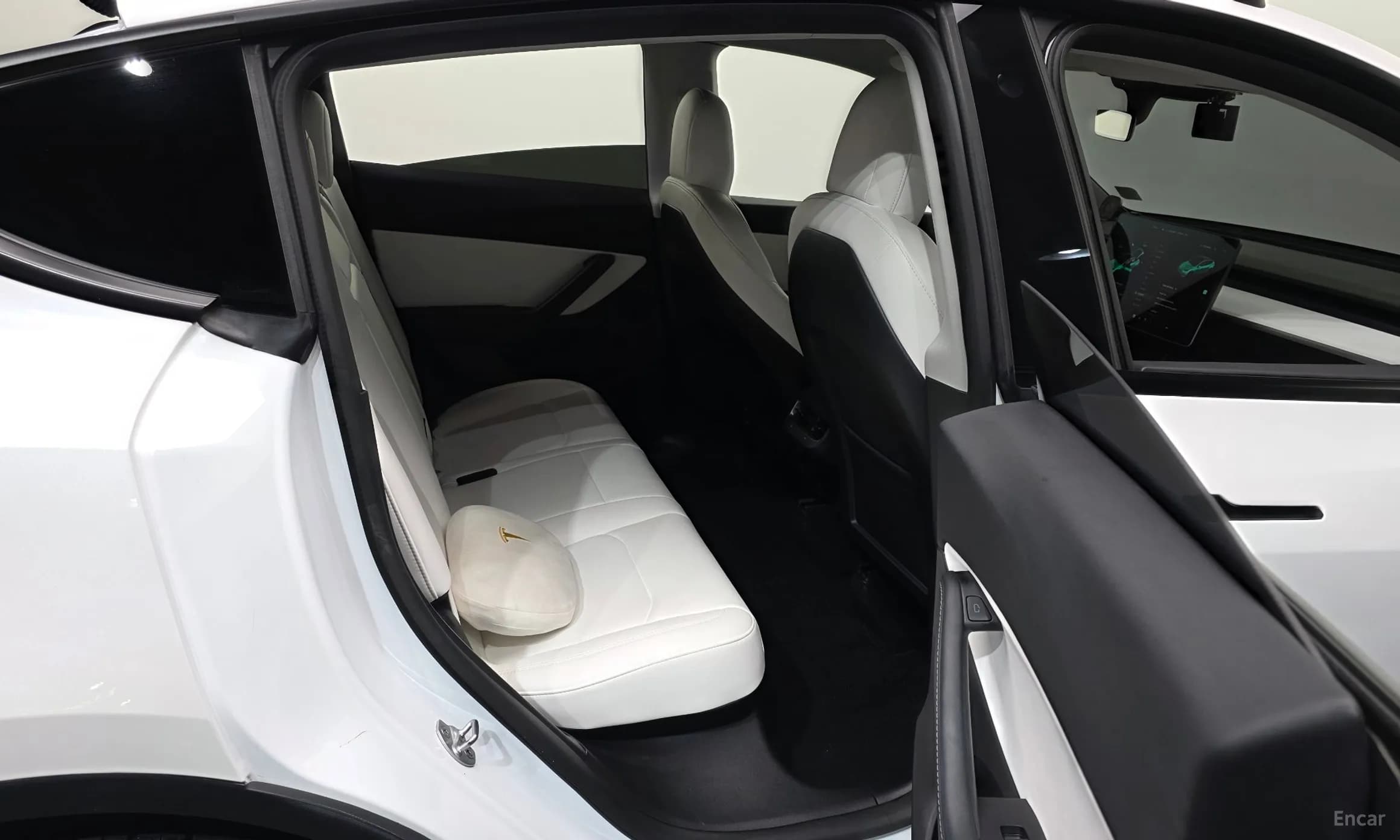 Model Y