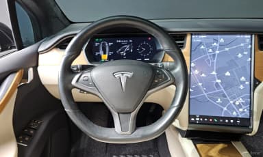 Model X