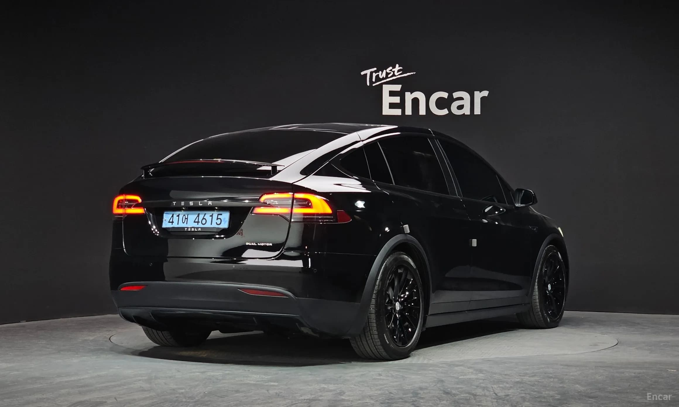 Model X