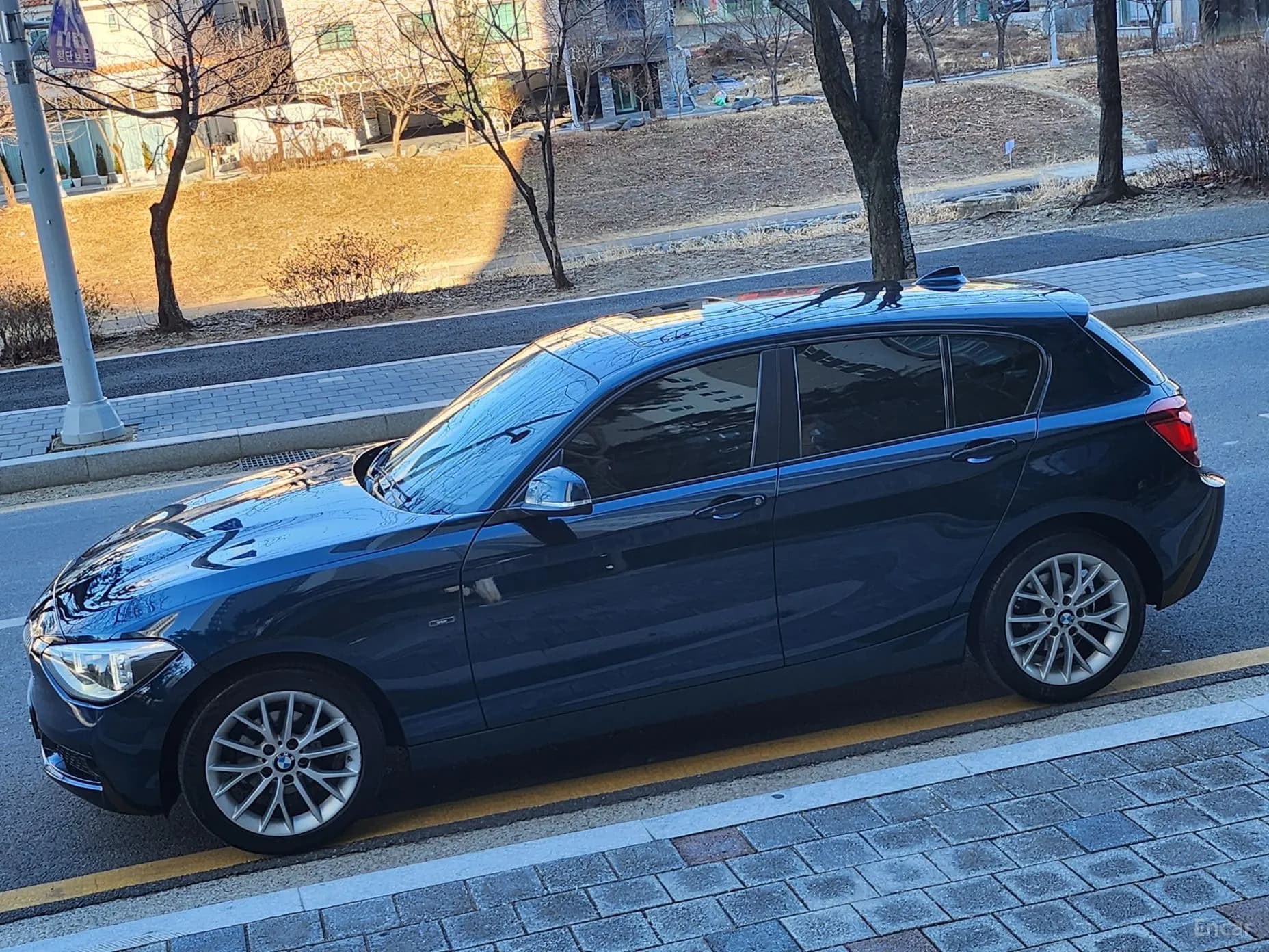 1 Series (F20)