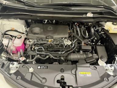 Siena 4th generation