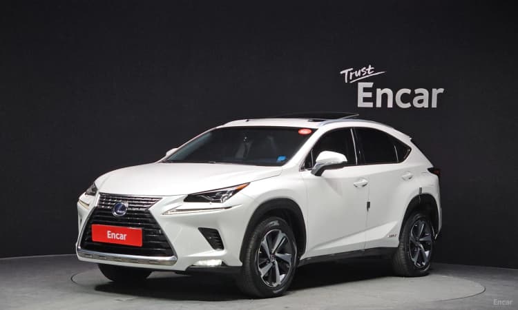 NX300h