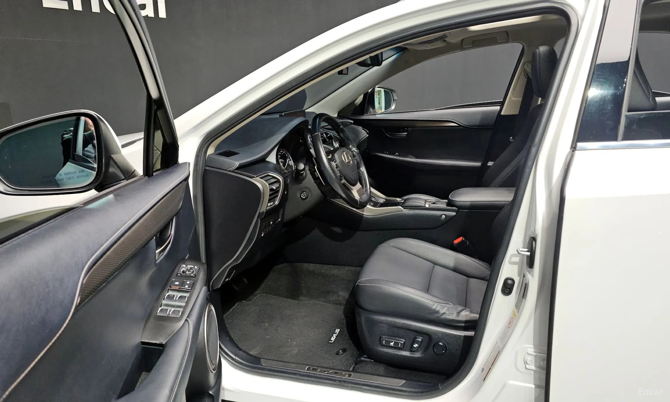 NX300h