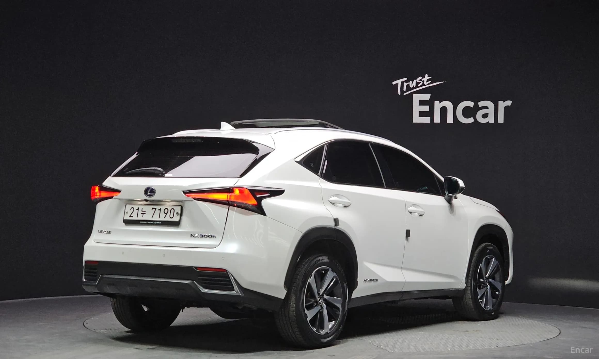 NX300h