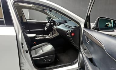 NX300h