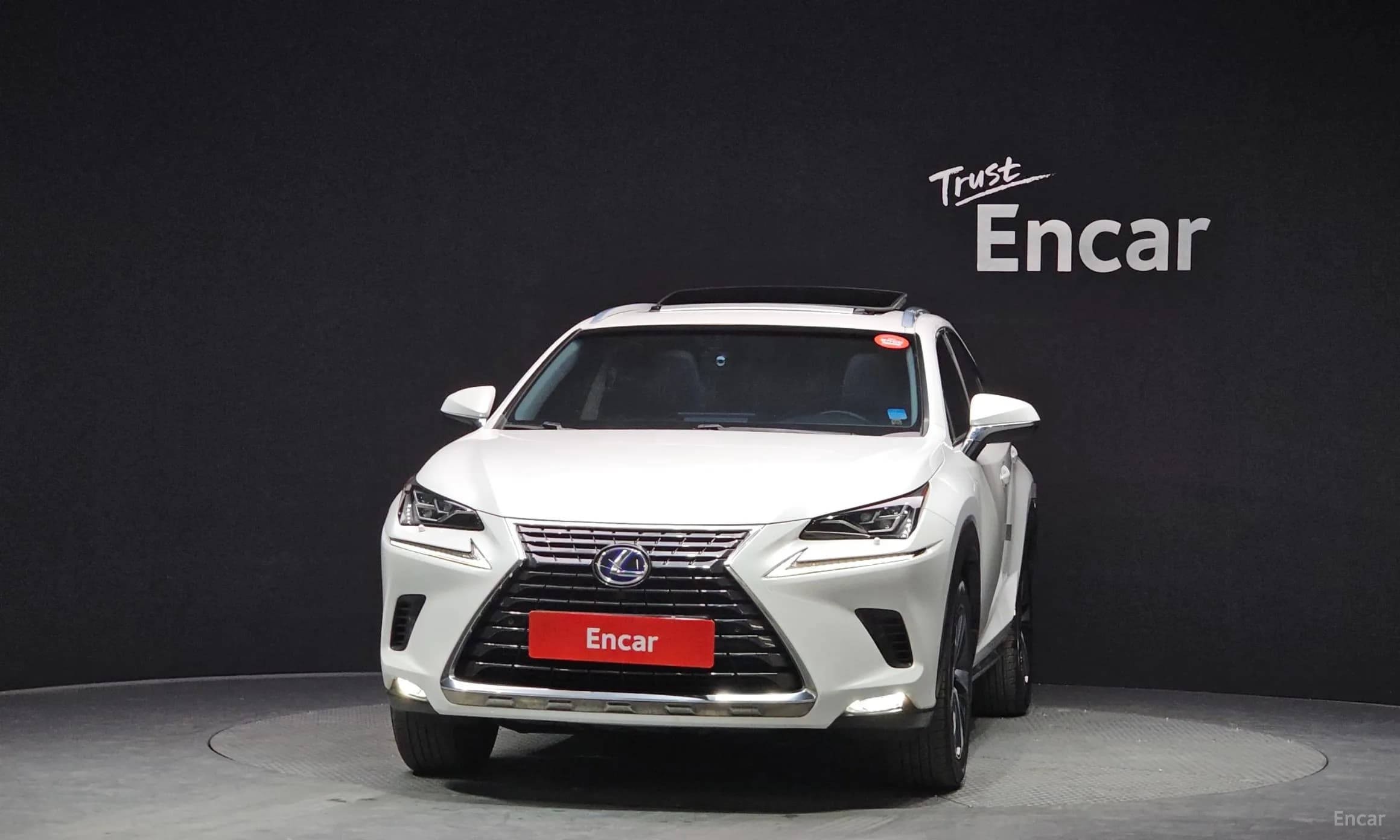 NX300h