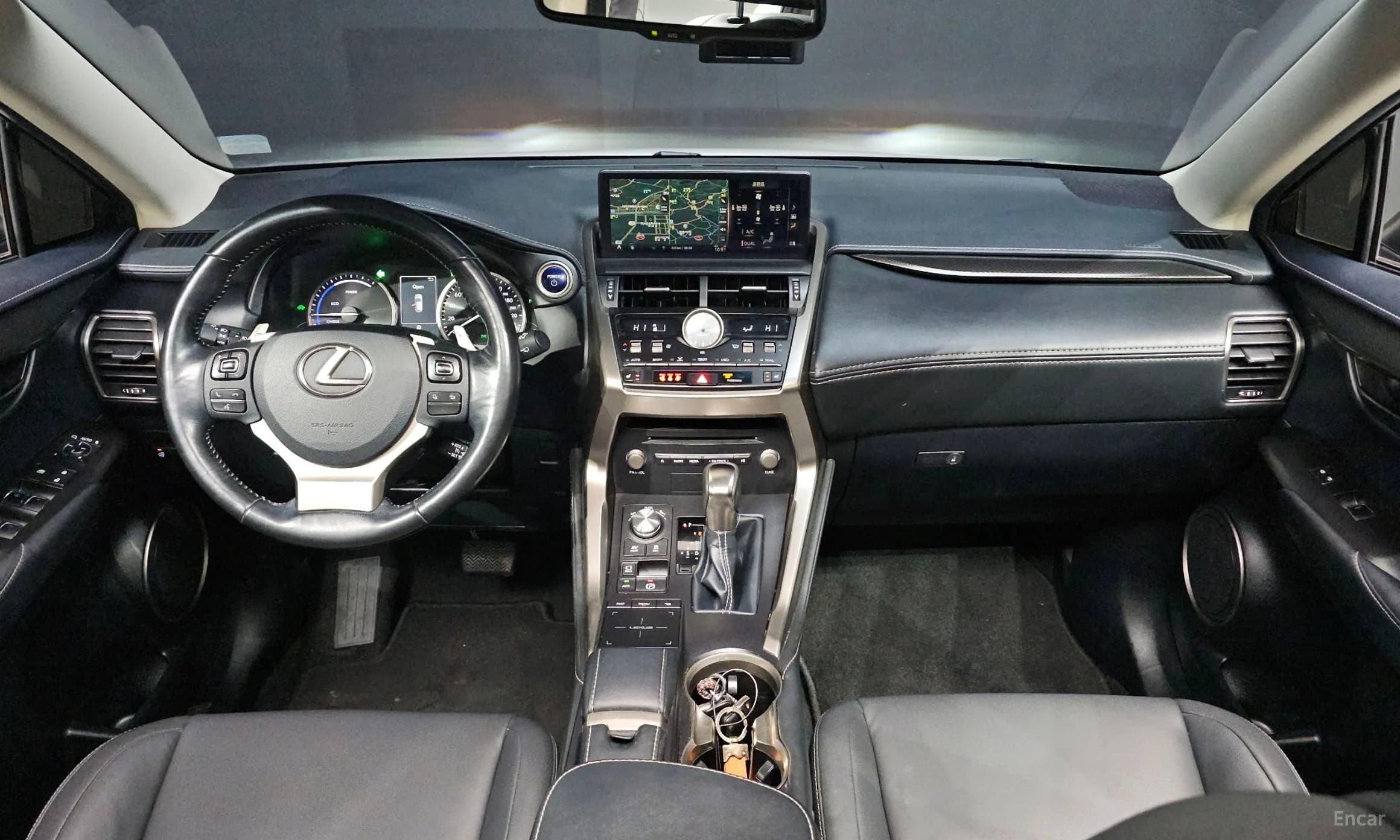NX300h