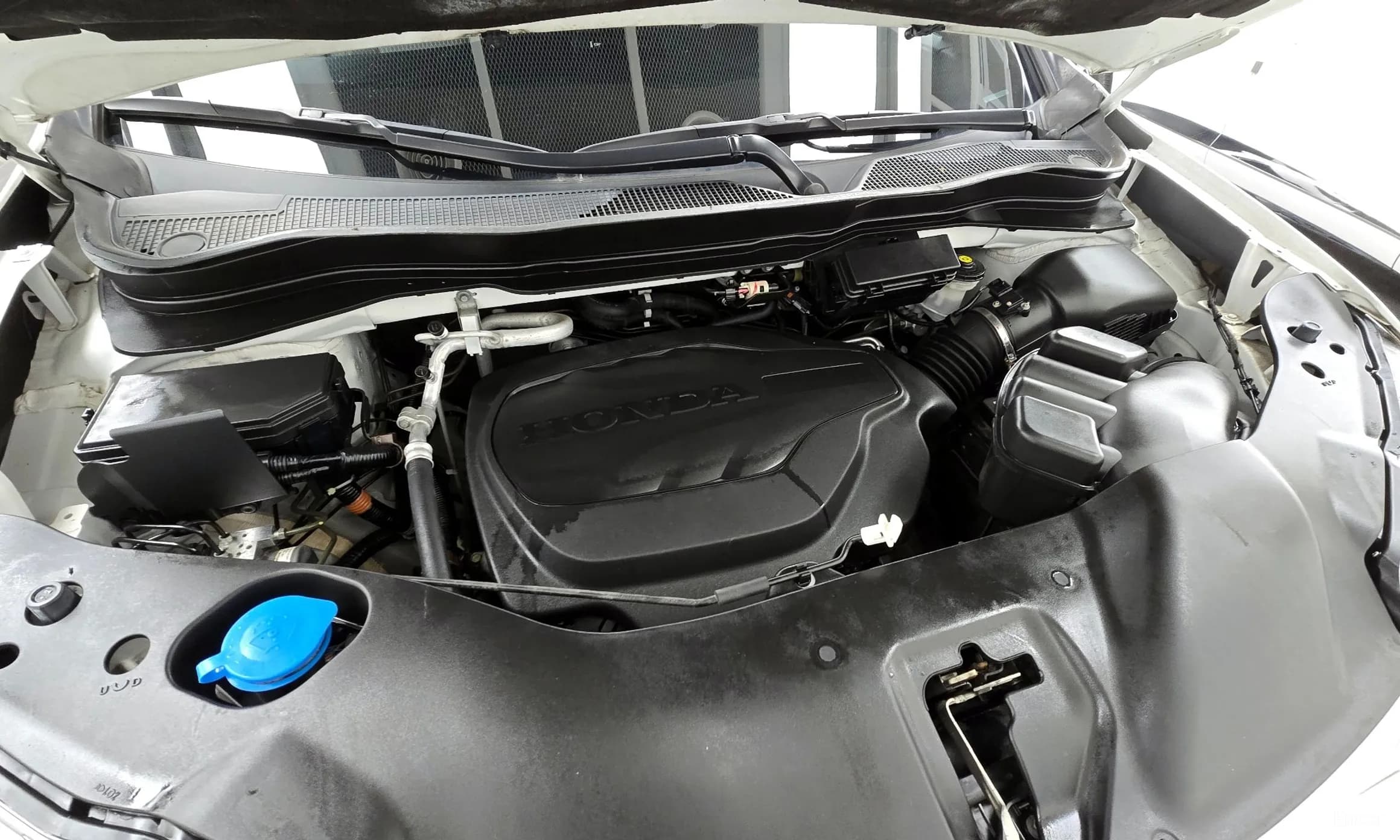 Pilot 3rd Generation