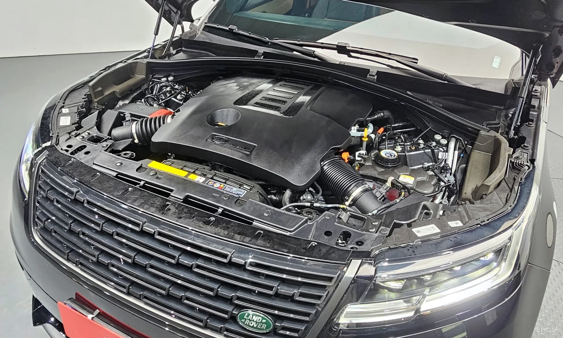 Range Rover Bella