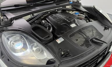 Macan