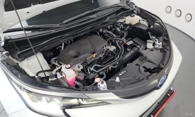 Siena 4th generation