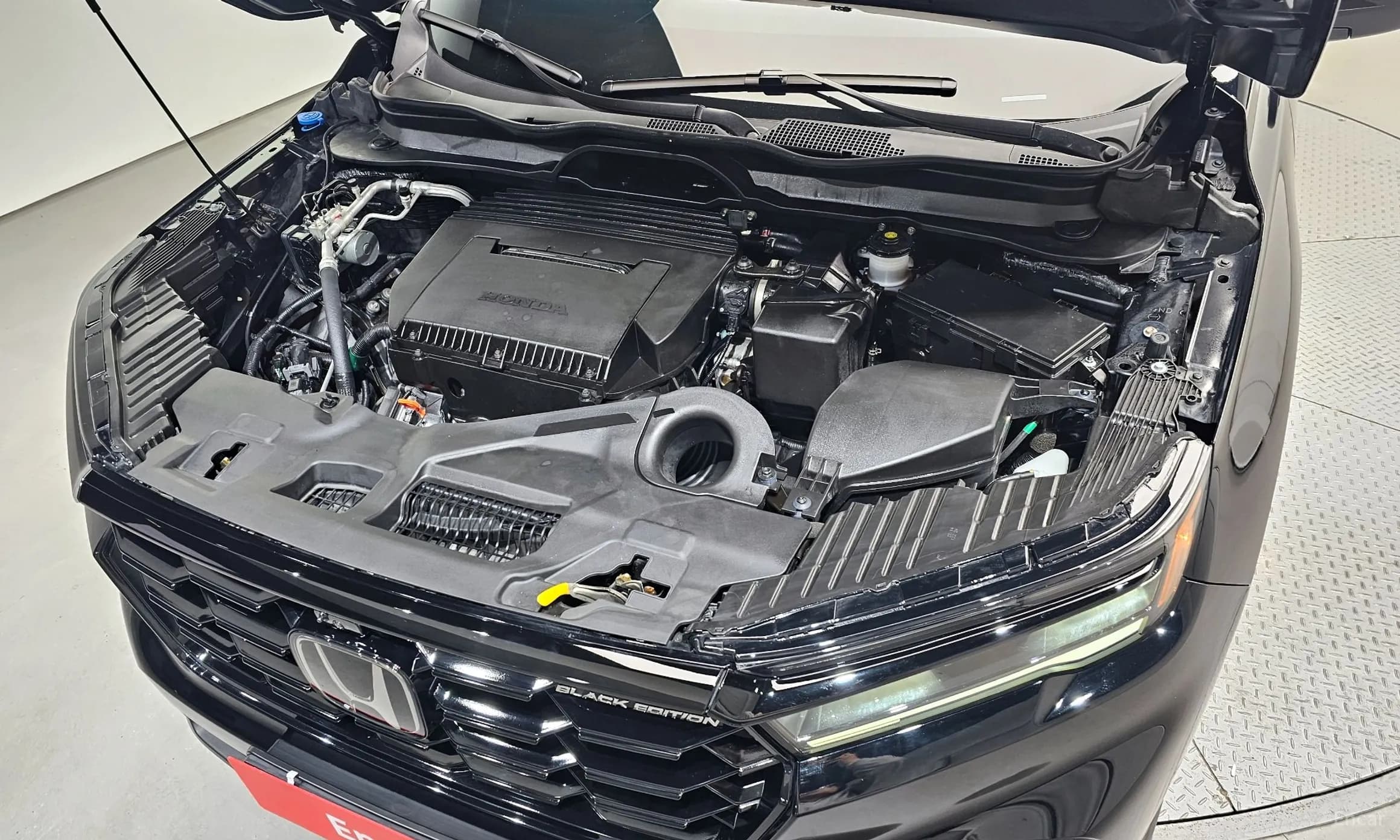 Pilot 4th Generation