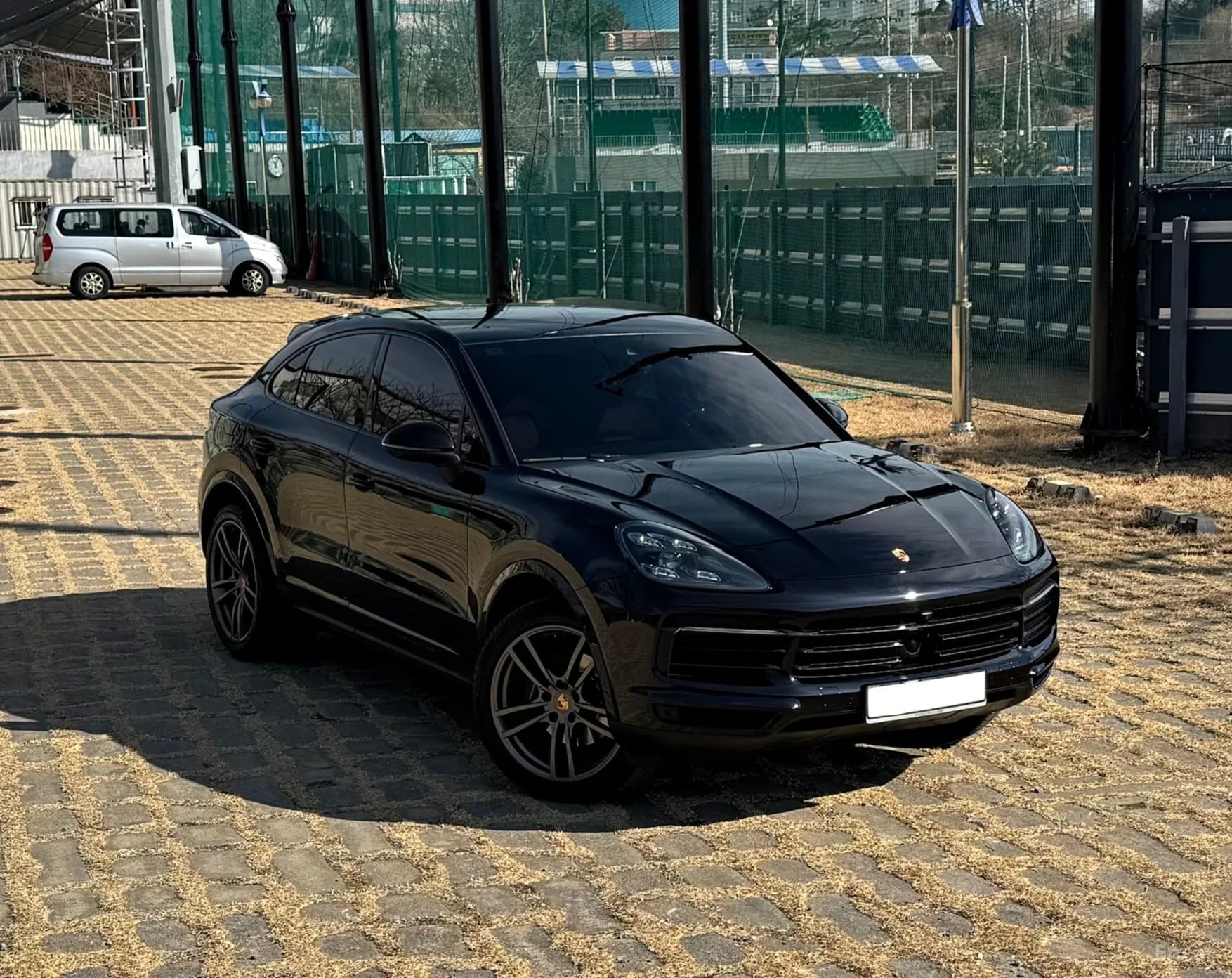 Cayenne (PO536)
