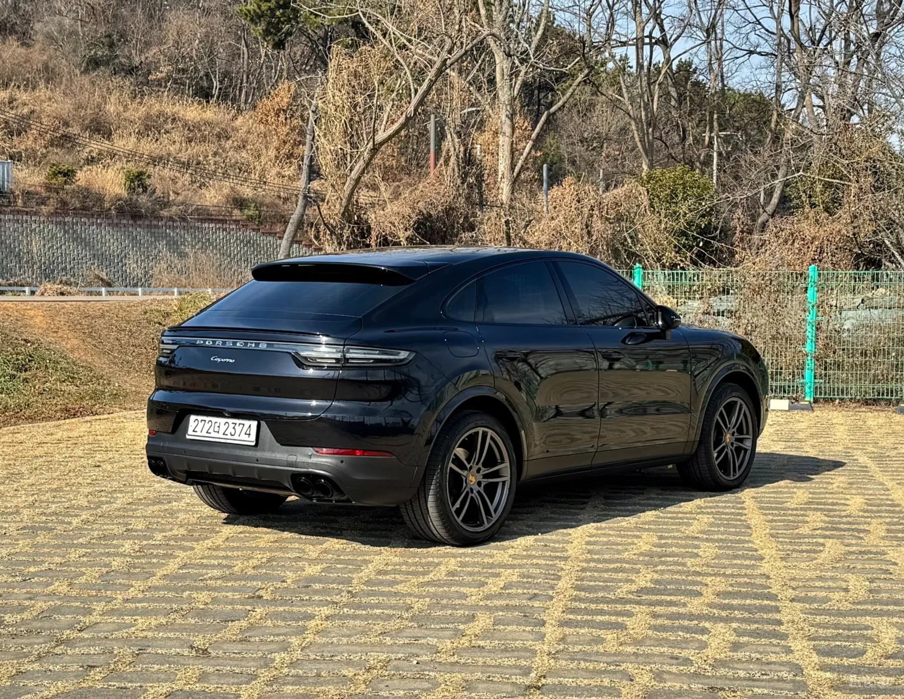 Cayenne (PO536)