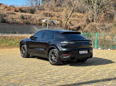 Cayenne (PO536)