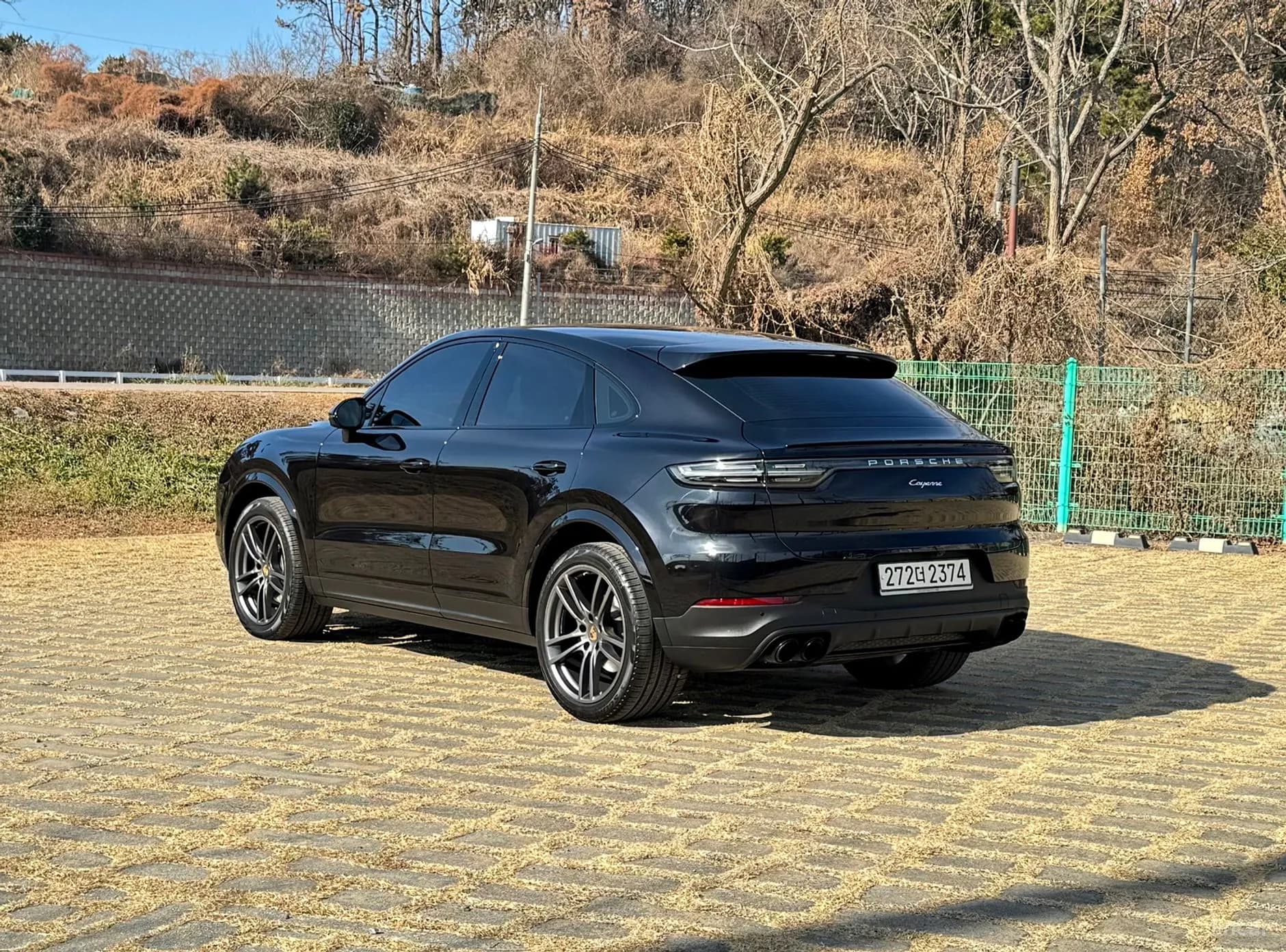 Cayenne (PO536)