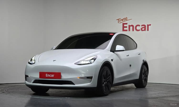 Model Y
