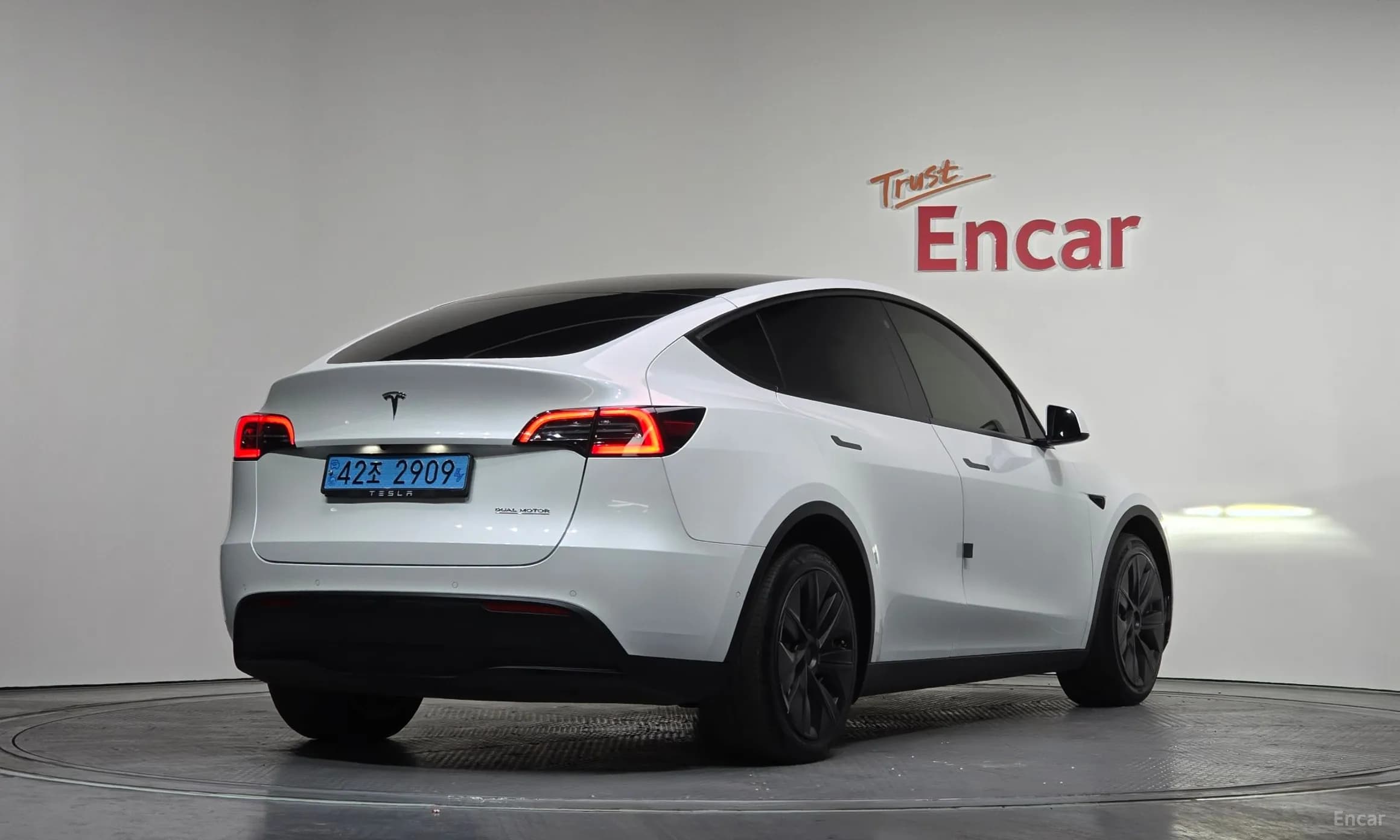 Model Y