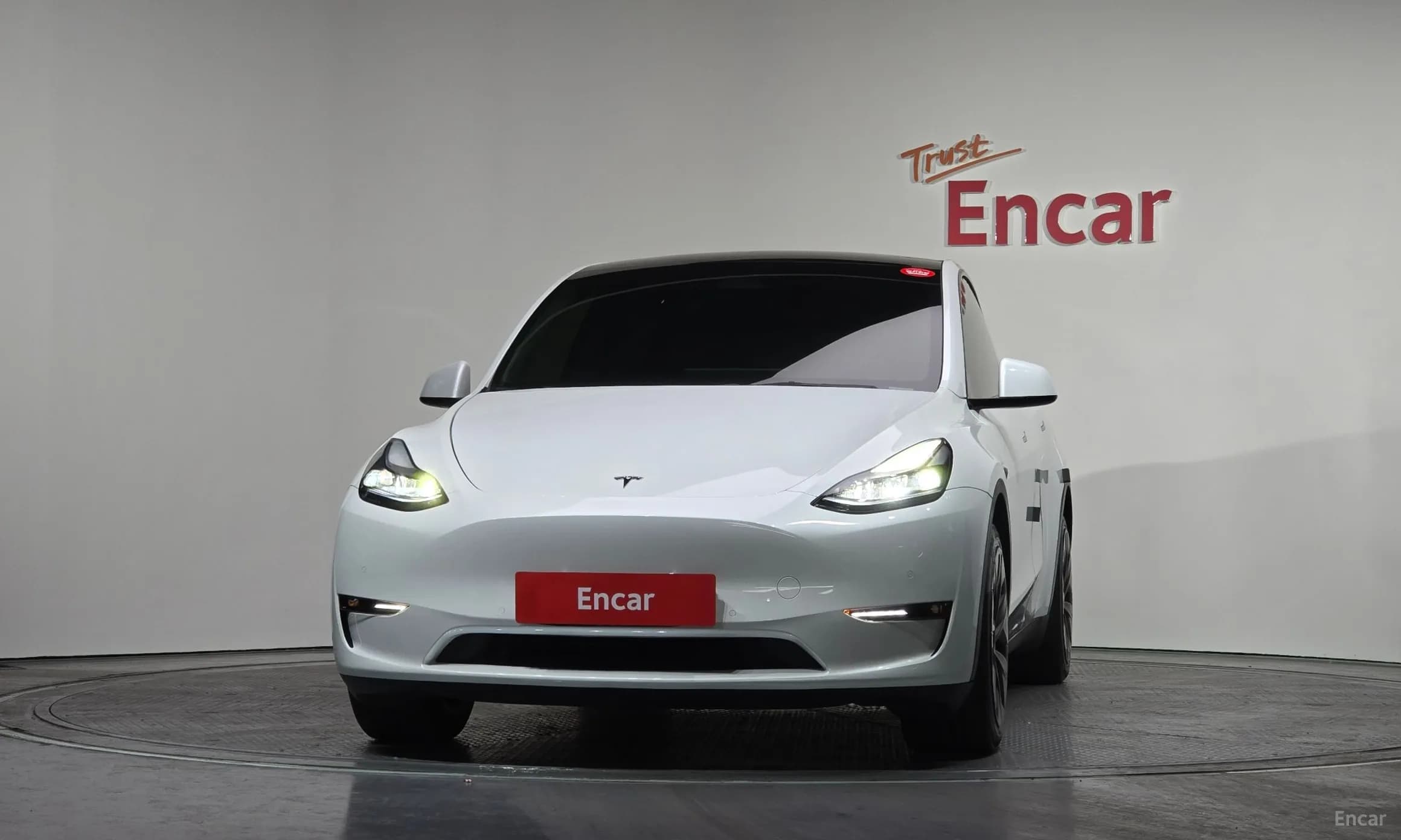 Model Y