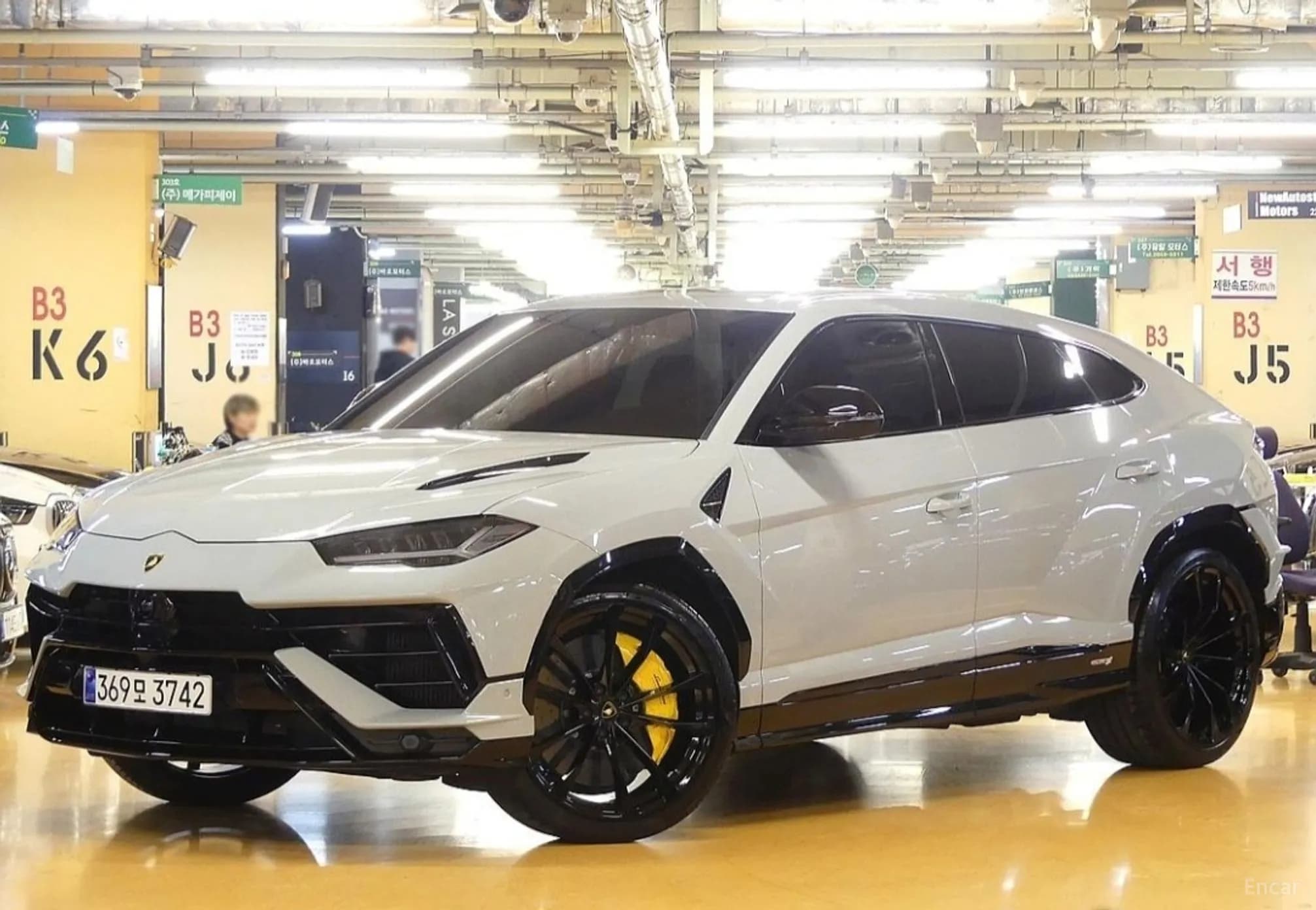 Urus