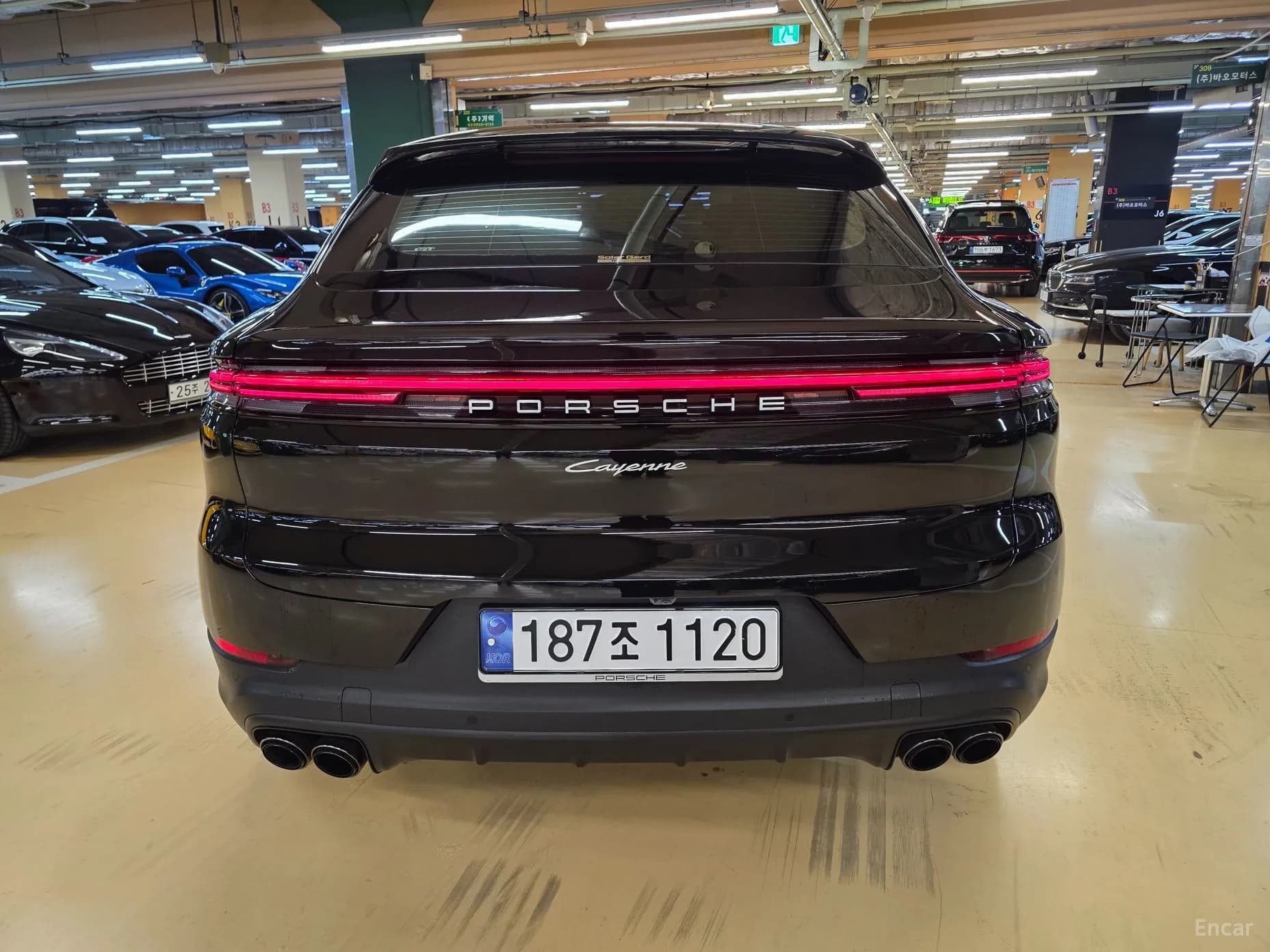 Cayenne (PO536)