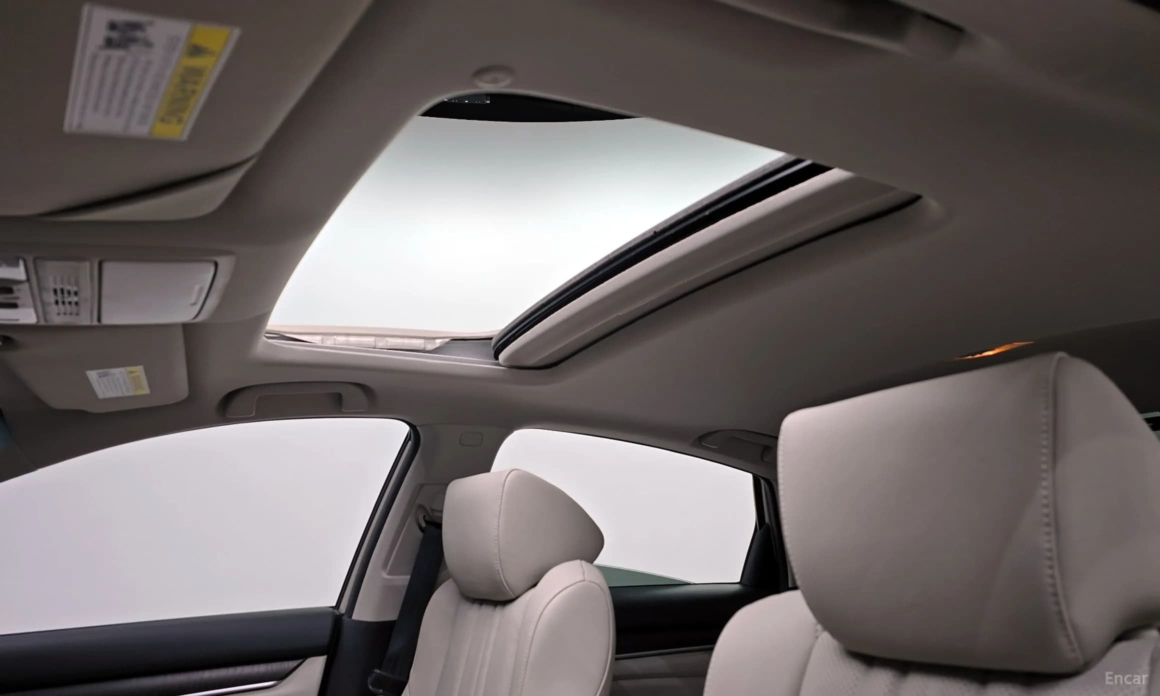 Accord 10th Generation