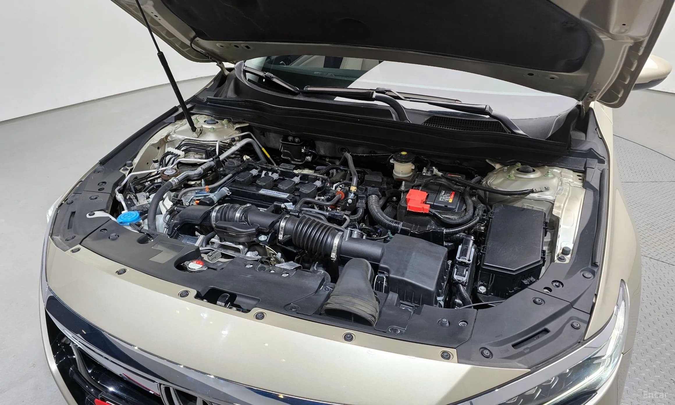 Accord 10th Generation