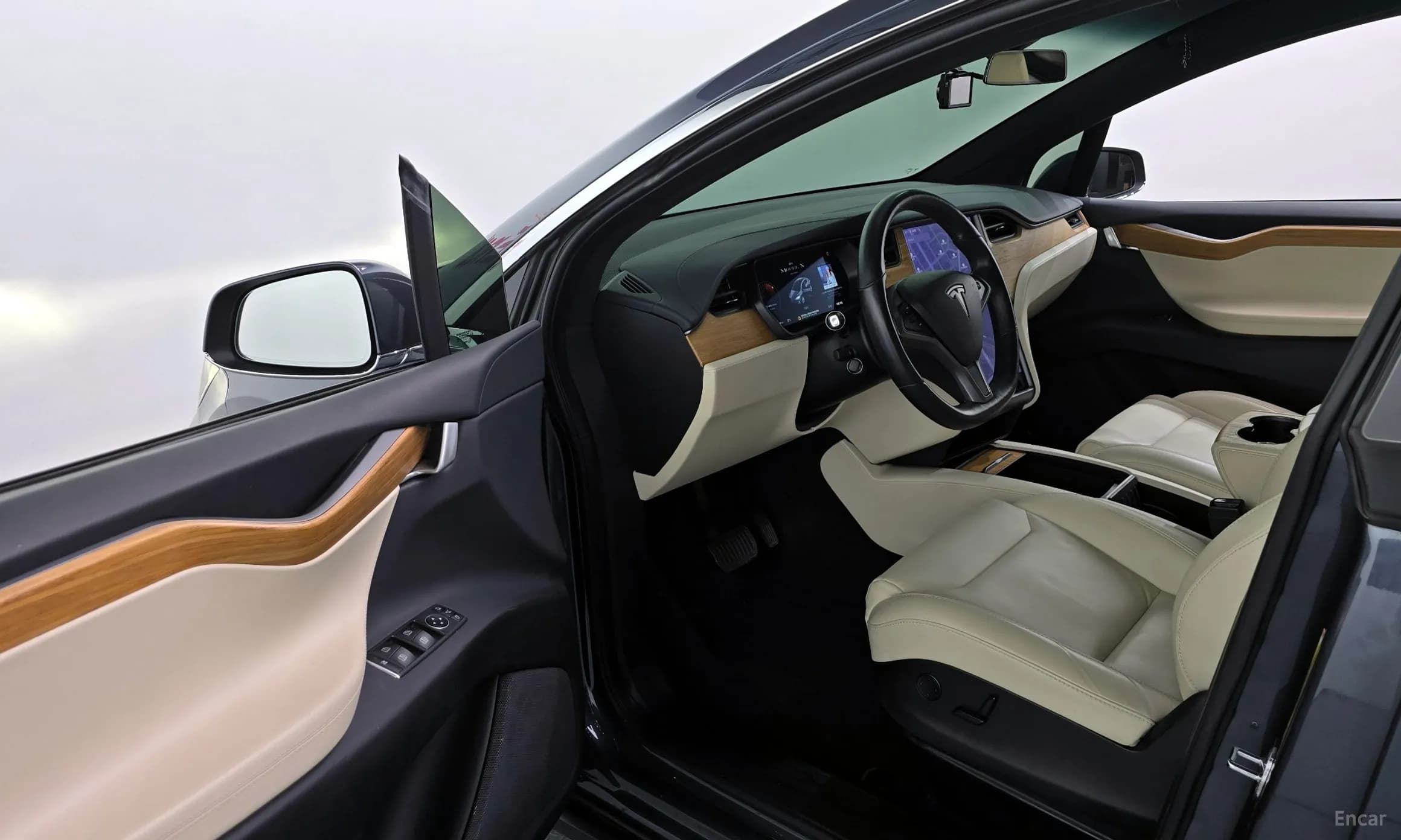 Model X