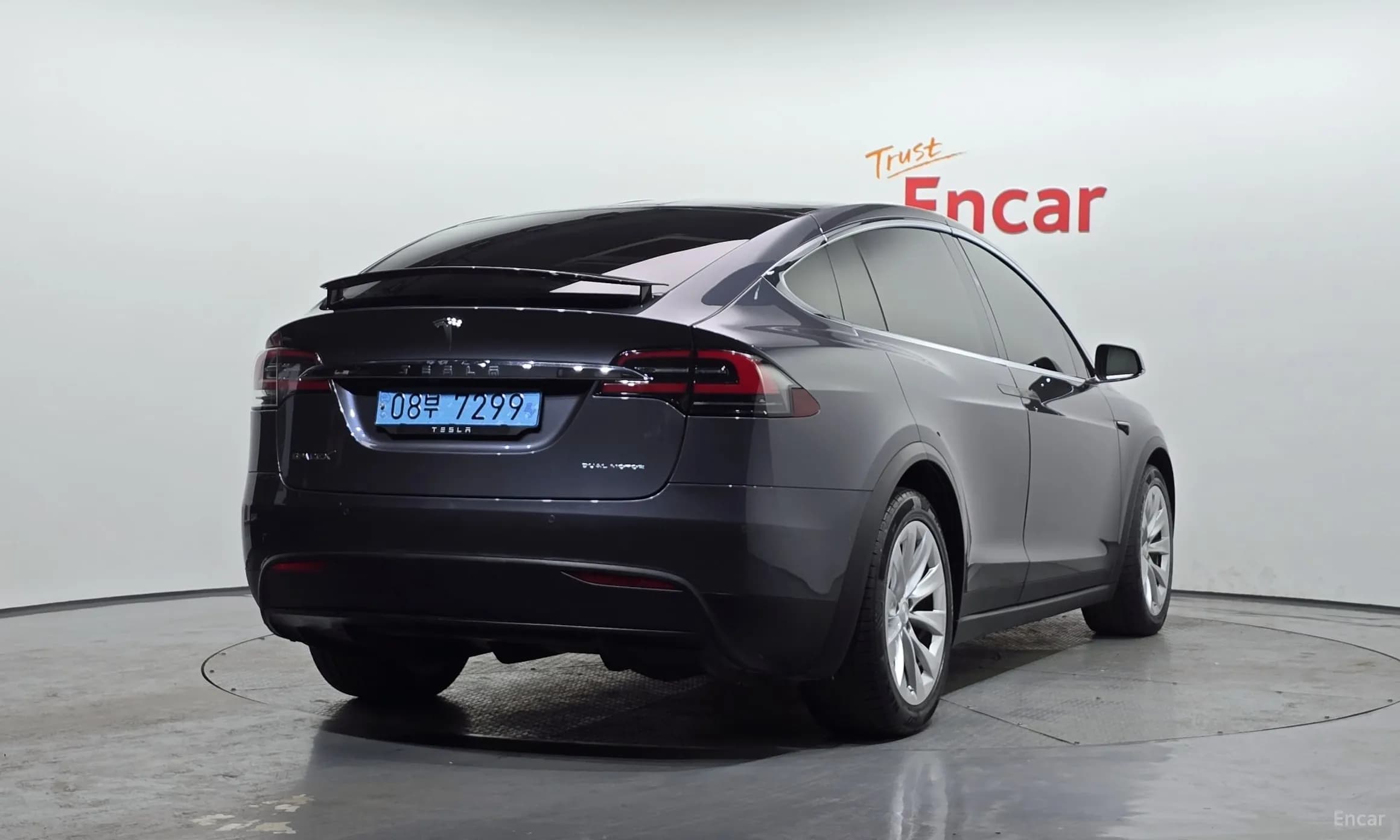 Model X