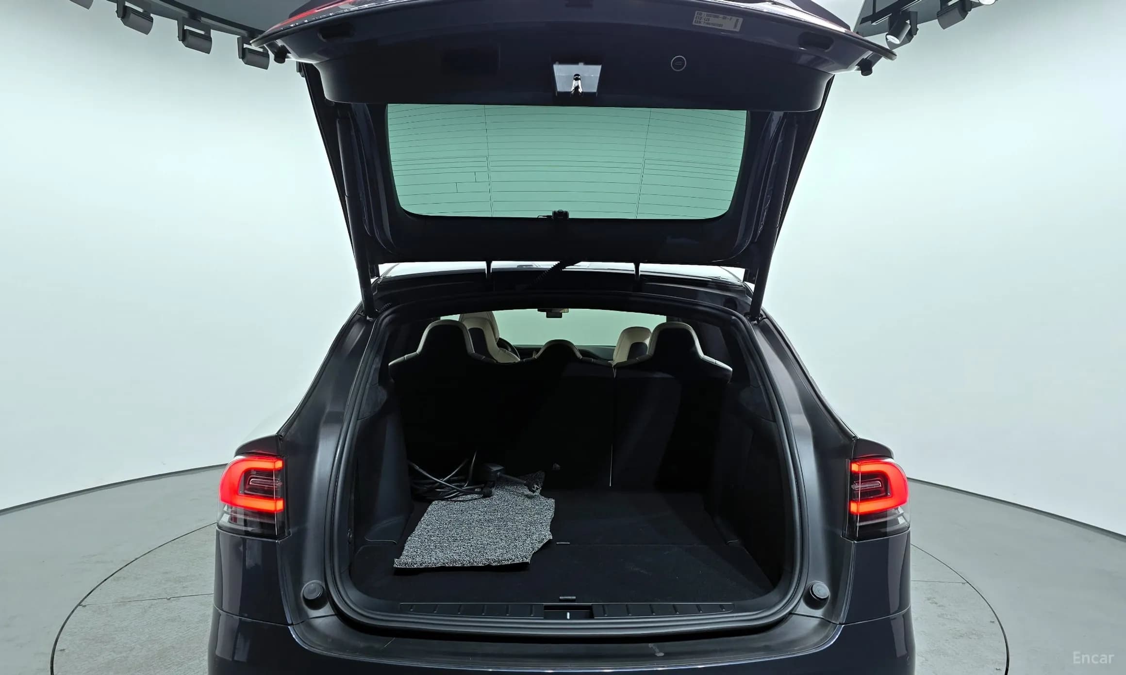 Model X