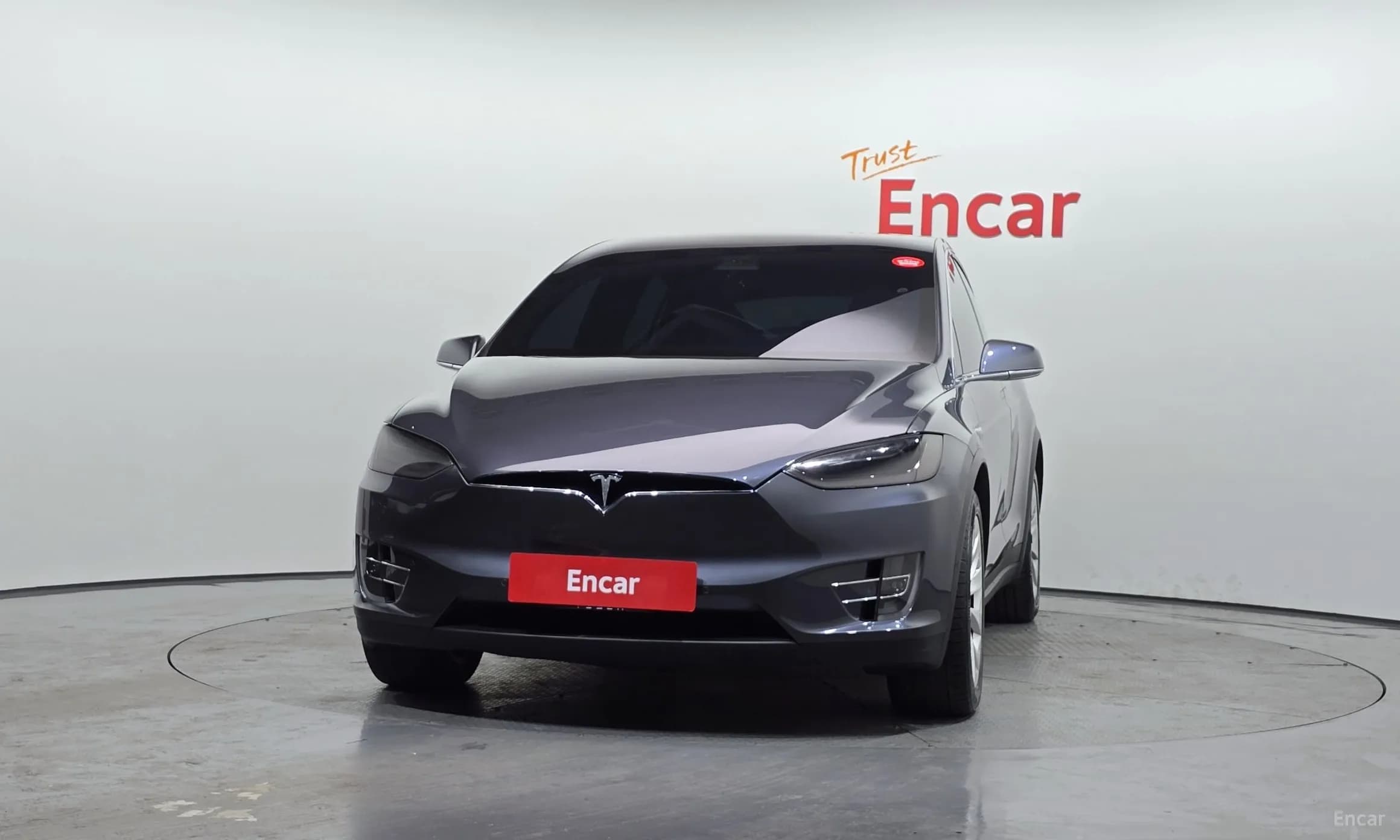 Model X