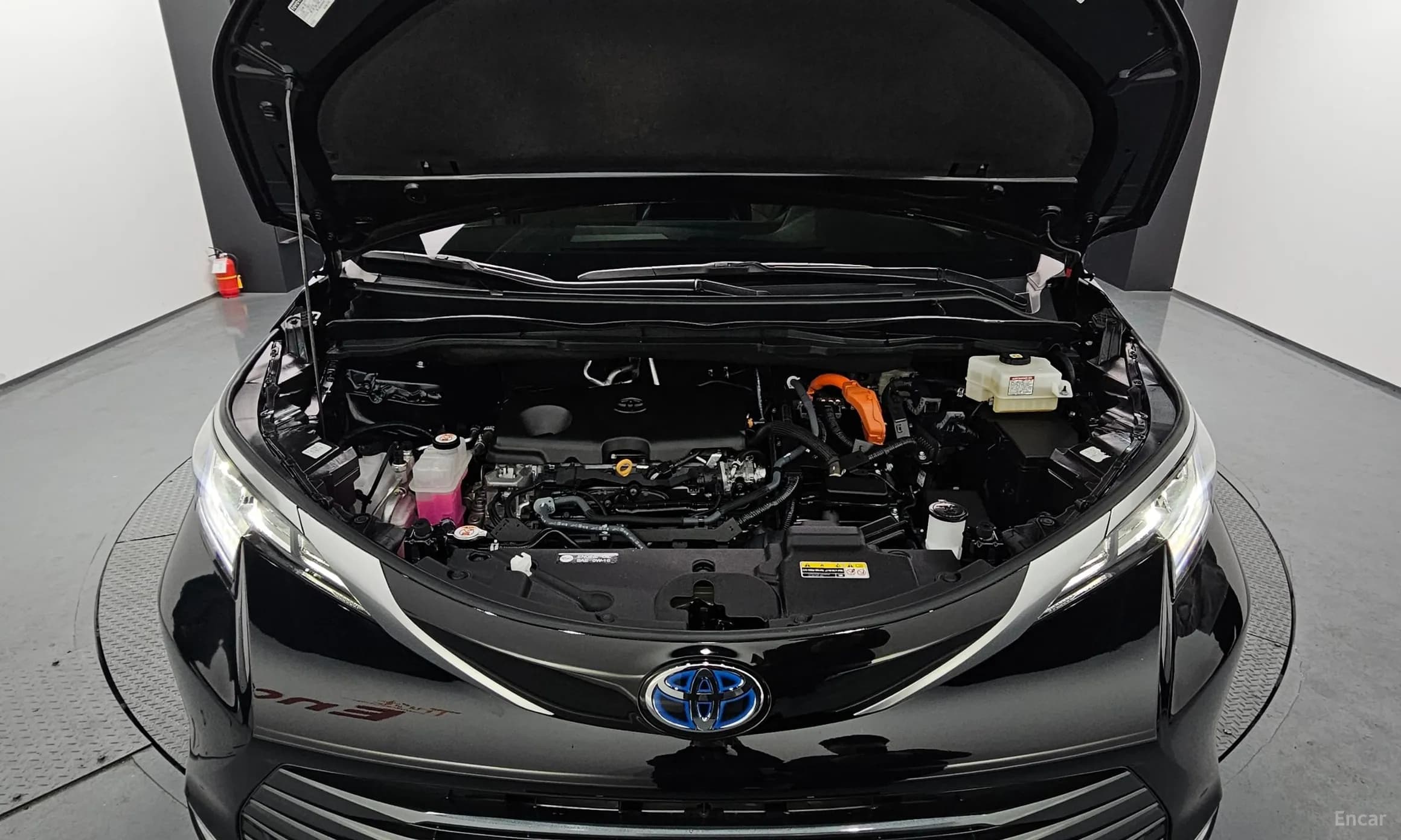 Siena 4th generation