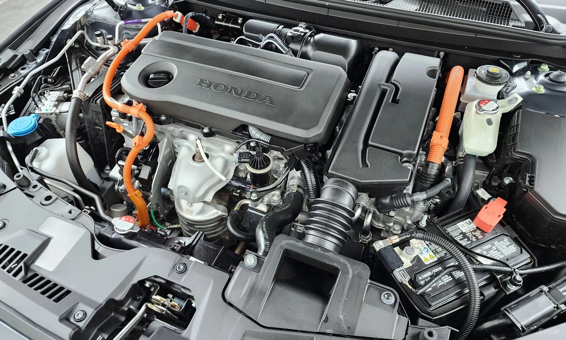 Accord 11th Generation