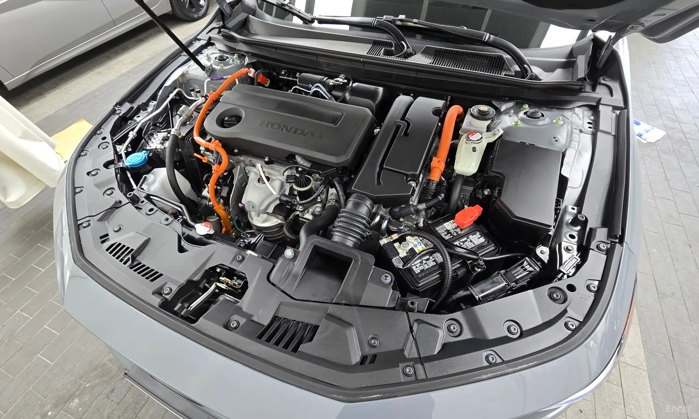 Accord 11th Generation