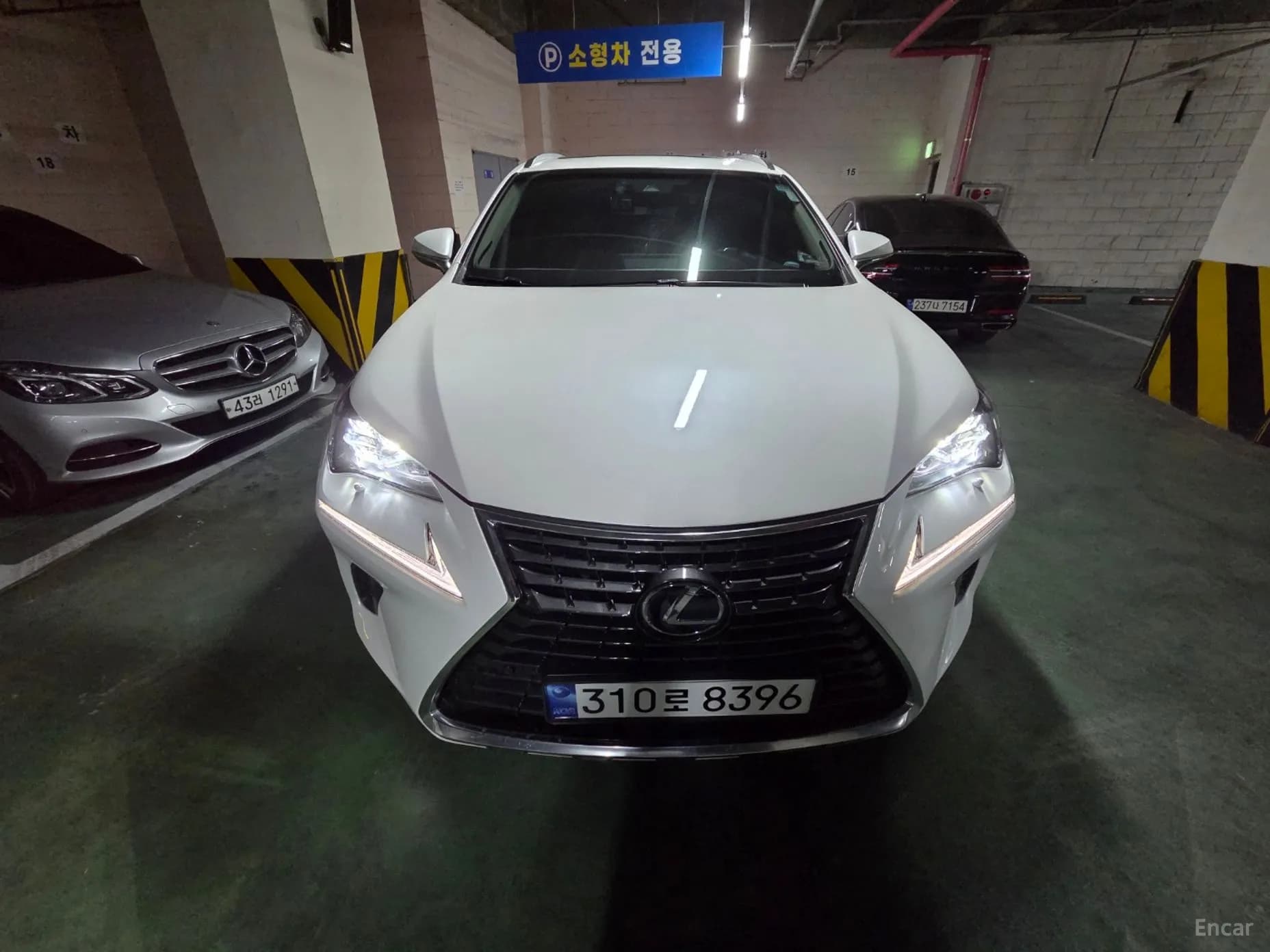 NX300h