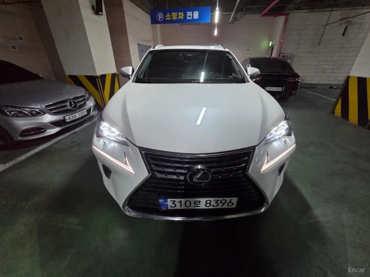 NX300h
