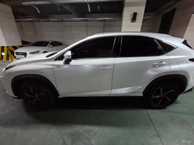 NX300h