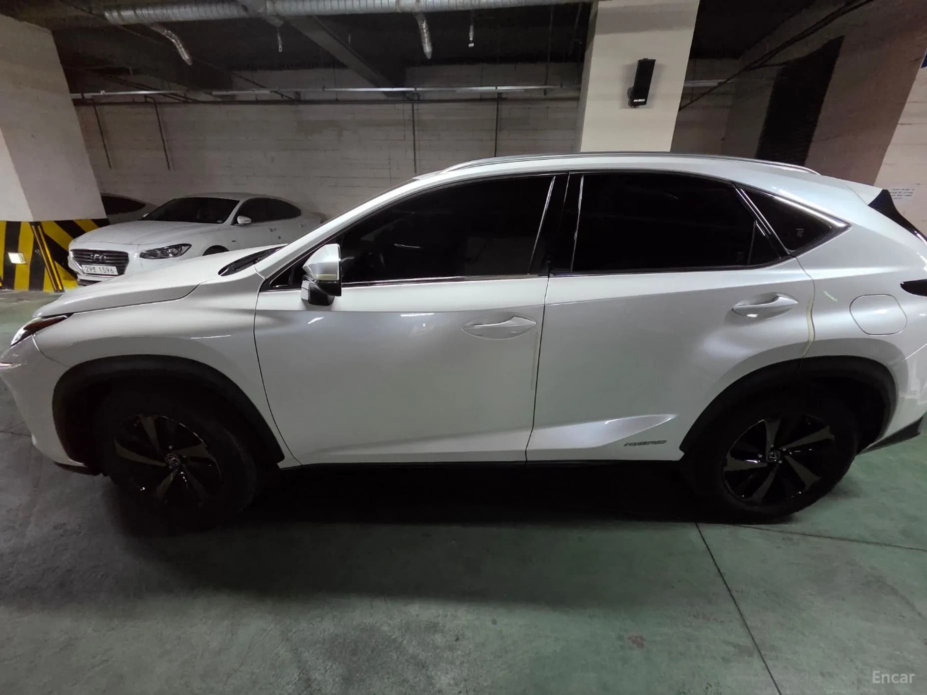 NX300h