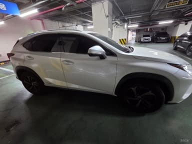 NX300h