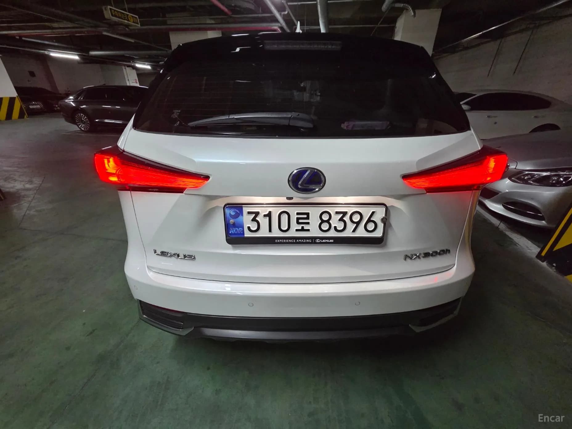 NX300h