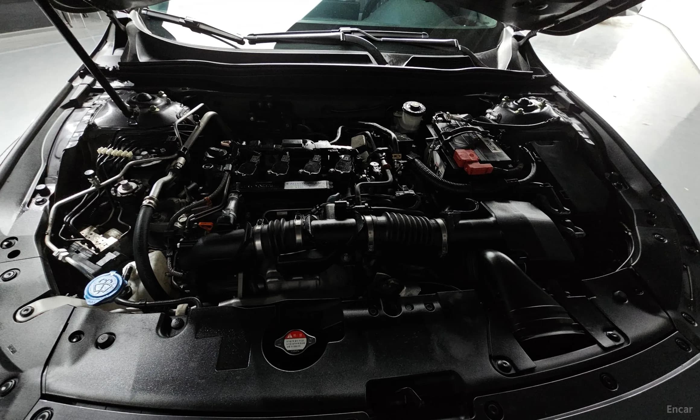 Accord 10th Generation