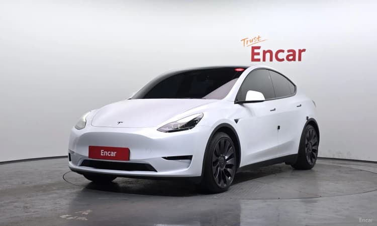 Model Y