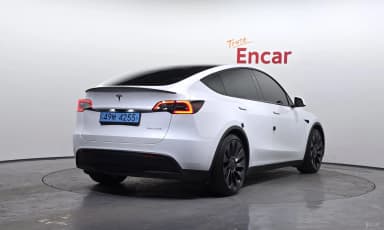 Model Y