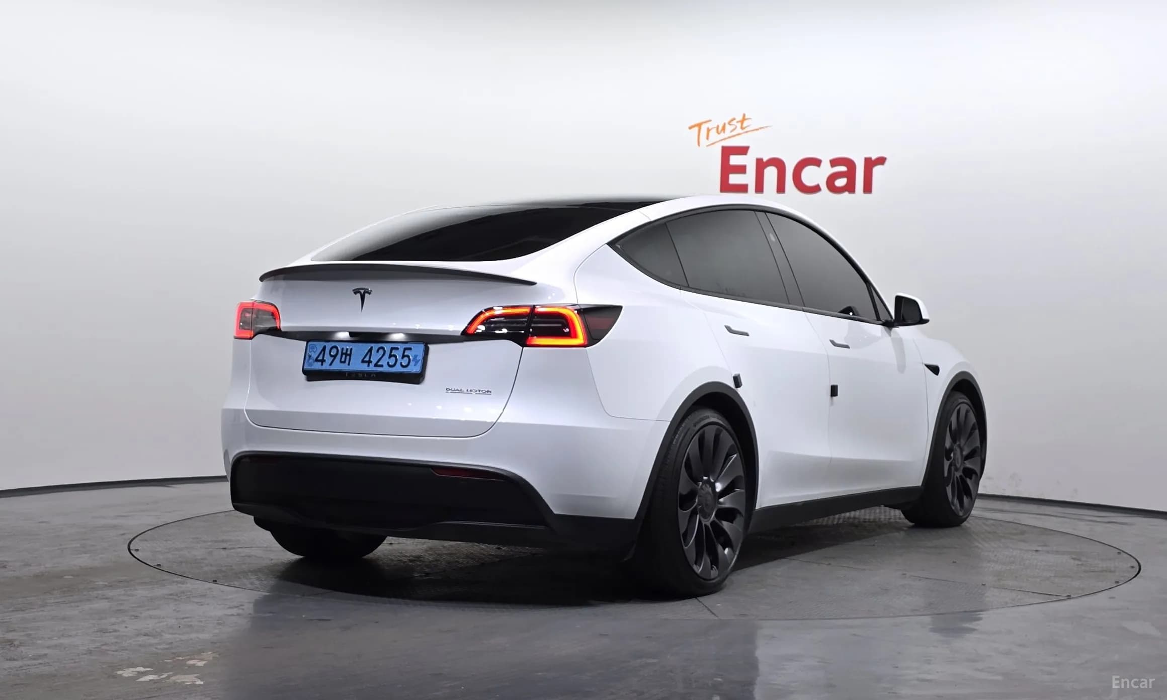Model Y