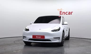 Model Y
