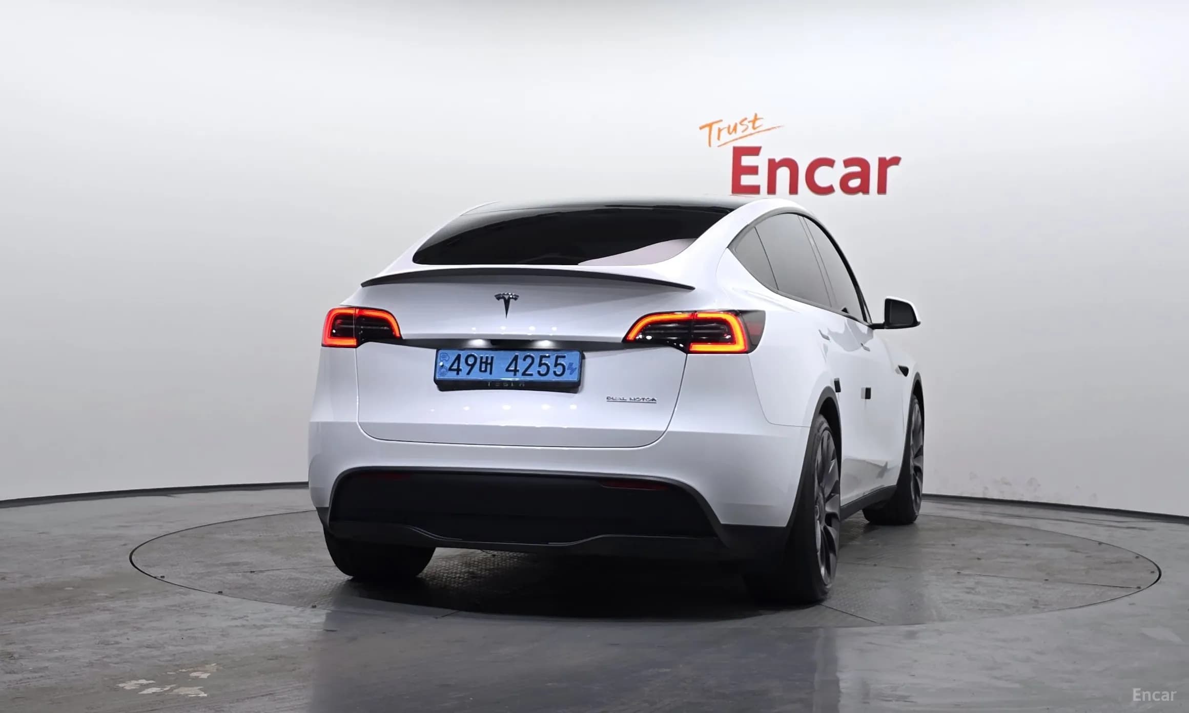 Model Y