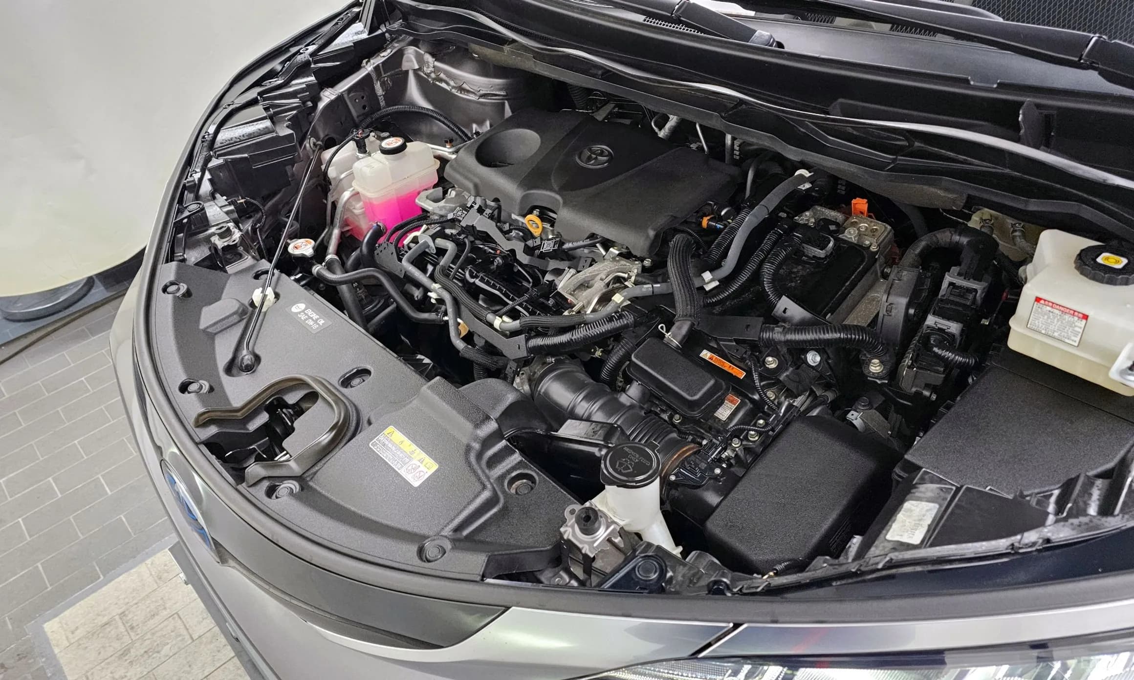 Siena 4th generation