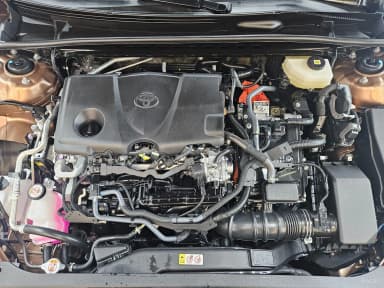 Camry (XV80)