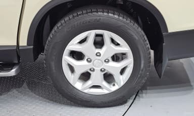 Rexton Sports