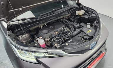 Siena 4th generation